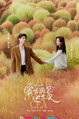 恋爱的正确姿势2